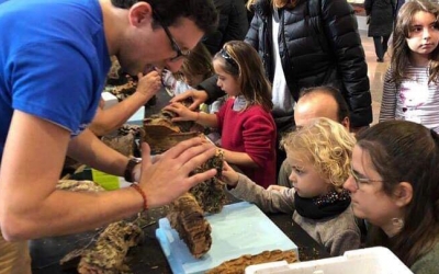 Petits i grans van participar a l'activitat de fer pessebres al Mercat Central | Cedida